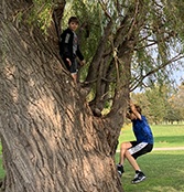 Kids climbing a tree