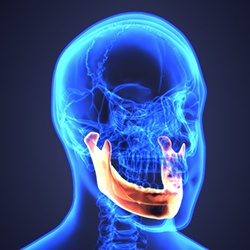 Illustration of human head, with lower jawbone highlighted